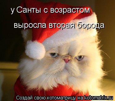 у Санты с возрастом выросла вторая борода... Котоматрица: у Санты с возрастом выросла вторая борода