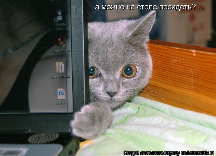 Котоматрица: а можно на столе посидеть?....