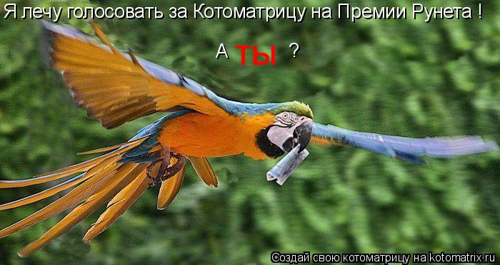 Котоматрица: Я лечу голосовать за Котоматрицу на Премии Рунета ! А  ты ?