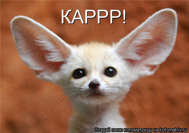 КАРРР!... Котоматрица: КАРРР!