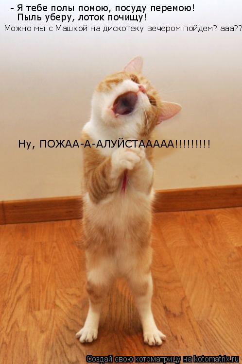 - Я тебе полы помою, посуду перемою! Пыль уберу, лоток почищу! Ну, ПОЖАА-А-АЛУЙСТААААА!!!!!!!!! Можно... Котоматрица: - Я тебе полы помою, посуду перемою! Пыль уберу, лоток почищу! Ну, ПОЖАА-А-АЛУЙСТААААА!!!!!!!!! Можно мы с Машкой на дискотеку вечером пойдем? ааа??