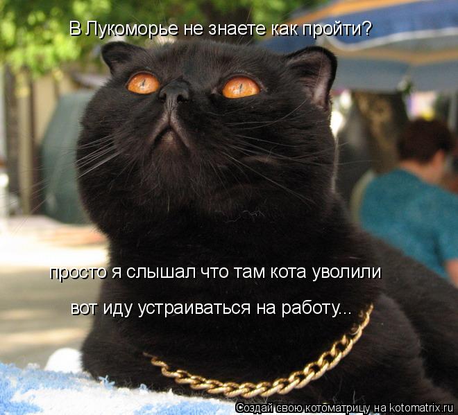 В Лукоморье не знаете как пройти? просто я слышал что там кота уволили вот иду устраиваться на работ... Котоматрица: В Лукоморье не знаете как пройти? просто я слышал что там кота уволили вот иду устраиваться на работу...