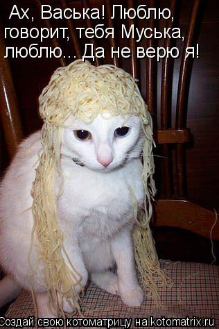 Ах, Васька! Люблю, говорит, тебя Муська, люблю... Да не верю я!... Котоматрица: Ах, Васька! Люблю, говорит, тебя Муська, люблю... Да не верю я!