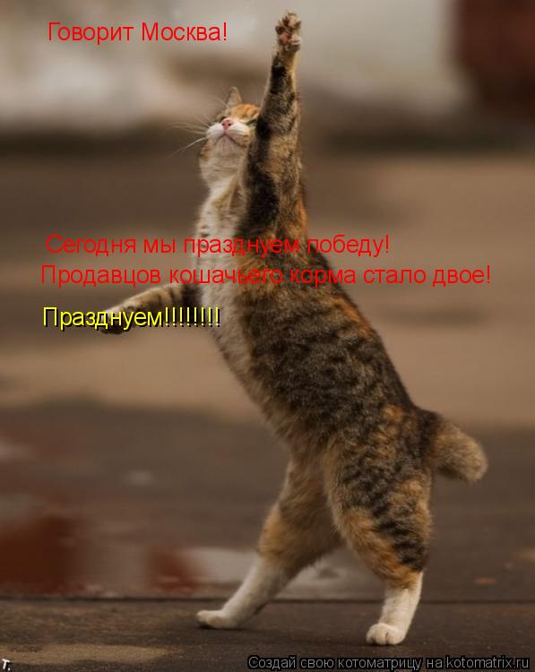 Говорит Москва! Сегодня мы празднуем победу! Празднуем!!!!!!!! Продавцов кошачьего корма стало двое!... Котоматрица: Говорит Москва! Сегодня мы празднуем победу! Празднуем!!!!!!!! Продавцов кошачьего корма стало двое!