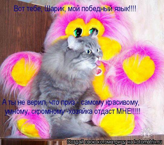 Вот тебе, Шарик, мой победный язык!!!! умному, скромному -хозяйка отдаст МНЕ!!!!! А ты не верил, что ... Котоматрица: Вот тебе, Шарик, мой победный язык!!!! умному, скромному -хозяйка отдаст МНЕ!!!!! А ты не верил, что приз - самому красивому,