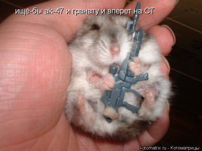 ищё-бы ak-47 и гранату и вперет на CT... Котоматрица: ищё-бы ak-47 и гранату и вперет на CT