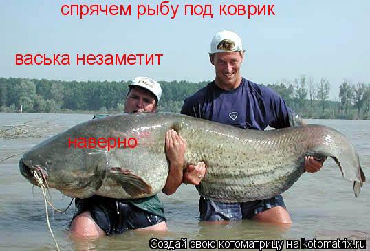 спрячем рыбу под коврик васька незаметит наверно... Котоматрица: спрячем рыбу под коврик васька незаметит наверно