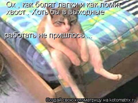 Ох , как болят лапки и как ломит хвост . Хоть бы в выходные работать не пришлось ...... Котоматрица: Ох , как болят лапки и как ломит хвост . Хоть бы в выходные работать не пришлось ...