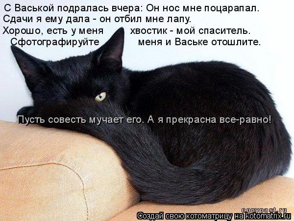 С Васькой подралась вчера: Он нос мне поцарапал. Сдачи я ему дала - он отбил мне лапу. Хорошо, есть у... Котоматрица: С Васькой подралась вчера: Он нос мне поцарапал. Сдачи я ему дала - он отбил мне лапу. Хорошо, есть у меня хвостик - мой спаситель. Сфотогр