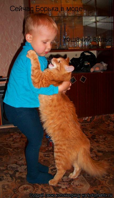 Котоматрица: Сейчас Борька,в моде кошачий вальс