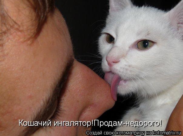 Кошачий ингалятор!Продам-недорого!... Котоматрица: Кошачий ингалятор!Продам-недорого!