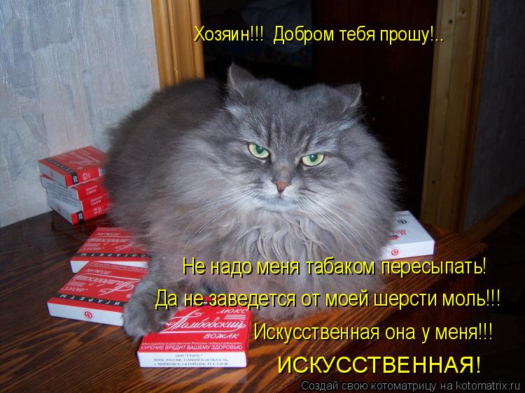 Котоматрица: Хозяин!!!  Добром тебя прошу!.. Не надо меня табаком пересыпать! Да не заведется от моей шерсти моль!!! Искусственная она у меня!!! ИСКУССТВЕННА