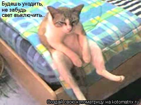 Котоматрица: Будешь уходить,  не забудь  свет выключить..