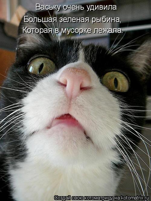 Котоматрица: Ваську очень удивила Большая зеленая рыбина, Которая в мусорке лежала.