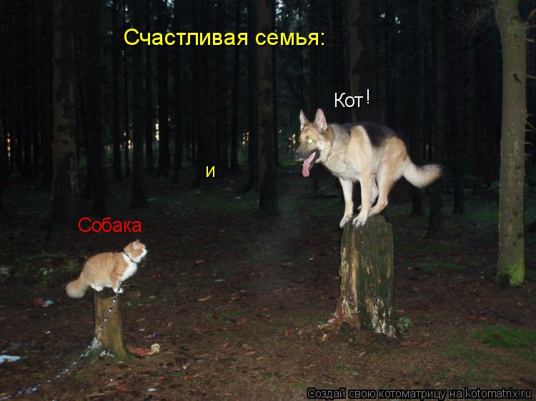Котоматрица: Собака Кот и Счастливая семья: !