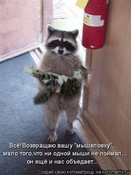 Всё!Возвращаю вашу "мышеловку"... мало того,что ни одной мыши не поймал... он ещё и нас объедает...... Котоматрица: Всё!Возвращаю вашу "мышеловку"... мало того,что ни одной мыши не поймал... он ещё и нас объедает...
