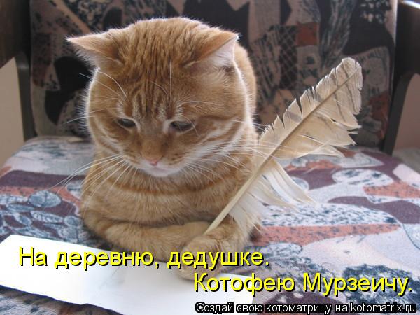 Котоматрица: На деревню, дедушке.  Котофею Мурзеичу.