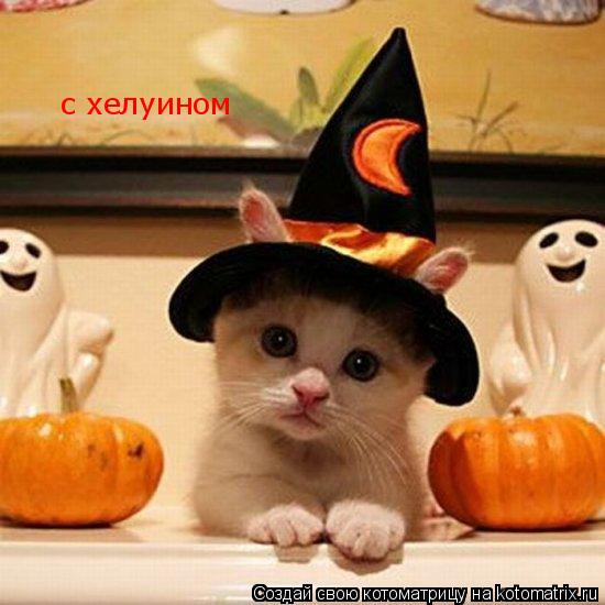 с хелуином... Котоматрица: с хелуином