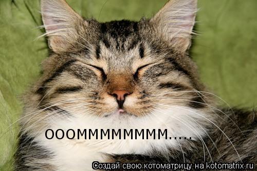 Котоматрица: ОООММММММММ.....