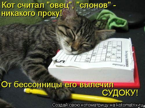 Котоматрица: Кот считал "овец", "слонов" - никакого проку! От бессонницы его вылечил СУДОКУ!