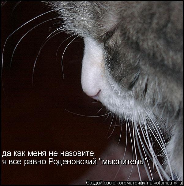 Котоматрица: да как меня не назовите, я все равно Роденовский "мыслитель"