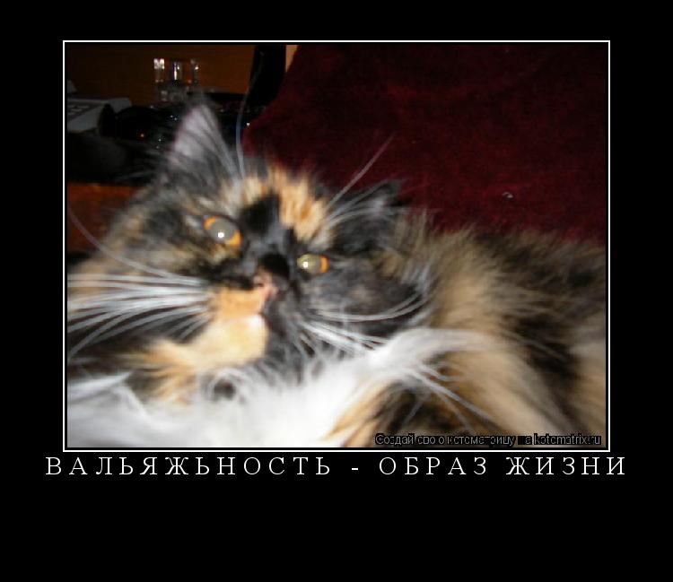 ВАЛЬЯЖЬНОСТЬ - ОБРАЗ ЖИЗНИ ... Котоматрица: ВАЛЬЯЖЬНОСТЬ - ОБРАЗ ЖИЗНИ