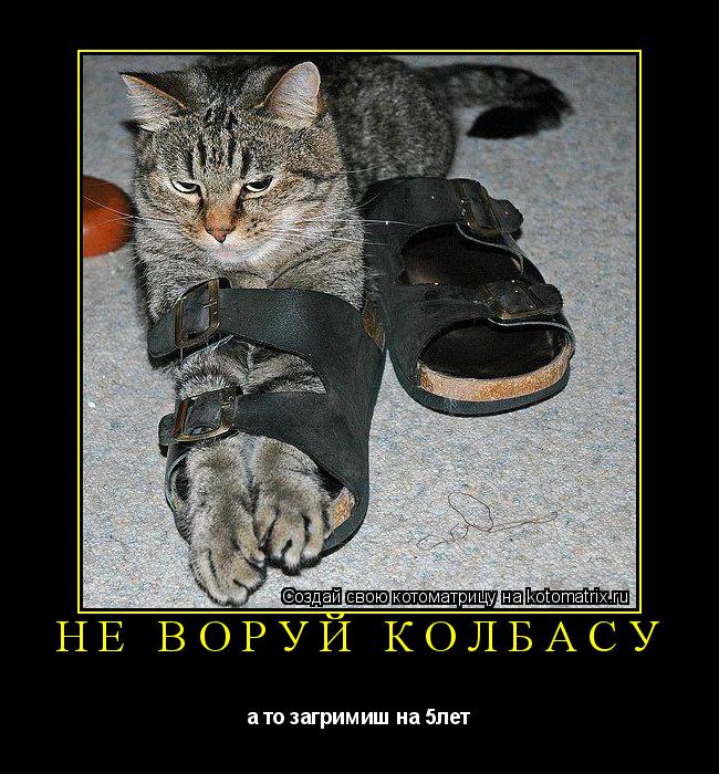 не воруй колбасу а то загримиш на 5лет... Котоматрица: не воруй колбасу а то загримиш на 5лет