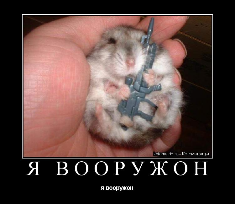 я вооружон я вооружон... Котоматрица: я вооружон я вооружон