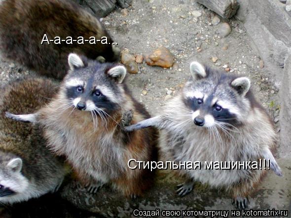А-а-а-а-а-а... Стиральная машинка!!!... Котоматрица: А-а-а-а-а-а... Стиральная машинка!!!
