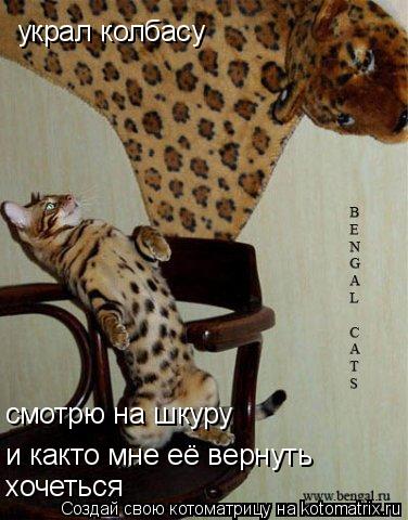 украл колбасу смотрю на шкуру и както мне её вернуть хочеться... Котоматрица: украл колбасу смотрю на шкуру и както мне её вернуть хочеться