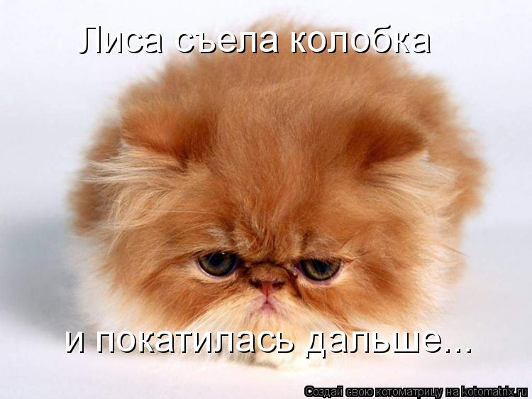 Лиса съела колобка и покатилась дальше...... Котоматрица: Лиса съела колобка и покатилась дальше...