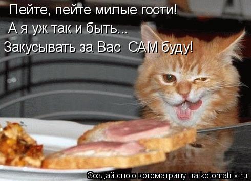 Пейте, пейте милые гости! А я уж так и быть... Закусывать за Вас САМ буду!... Котоматрица: Пейте, пейте милые гости! А я уж так и быть... Закусывать за Вас САМ буду!