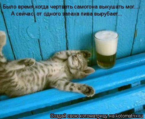 Было время,когда чертветь самогона выкушать мог.... А сейчас, от одного запаха пива вырубает...... Котоматрица: Было время,когда чертветь самогона выкушать мог.... А сейчас, от одного запаха пива вырубает...