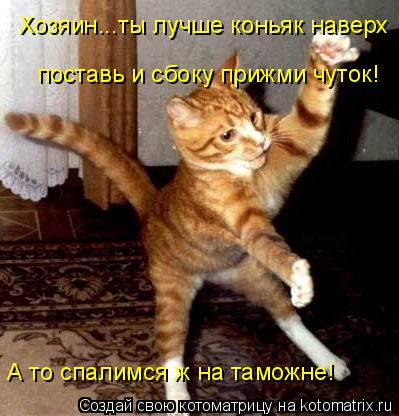 Хозяин...ты лучше коньяк наверх поставь и сбоку прижми чуток! А то спалимся ж на таможне!... Котоматрица: Хозяин...ты лучше коньяк наверх поставь и сбоку прижми чуток! А то спалимся ж на таможне!