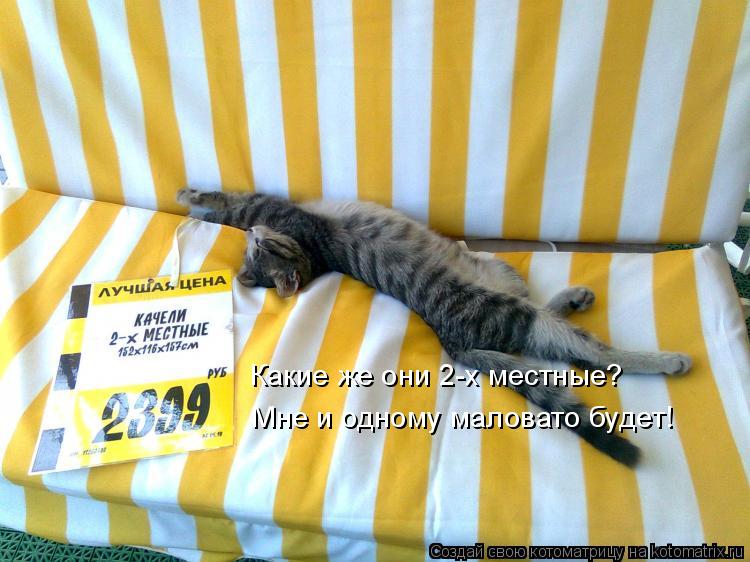 Какие же они 2-х местные? Мне и одному маловато будет!... Котоматрица: Какие же они 2-х местные? Мне и одному маловато будет!