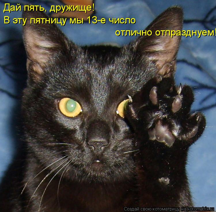 Дай пять, дружище! В эту пятницу мы 13-е число отлично отпразднуем!... Котоматрица: Дай пять, дружище! В эту пятницу мы 13-е число отлично отпразднуем!