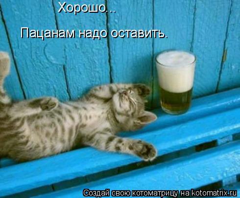 Хорошо... Пацанам надо оставить.... Котоматрица: Хорошо... Пацанам надо оставить.