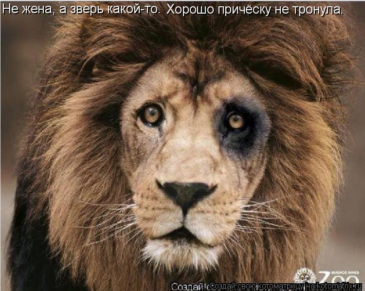 Котоматрица: Не жена, а зверь какой-то. Хорошо причёску не тронула.