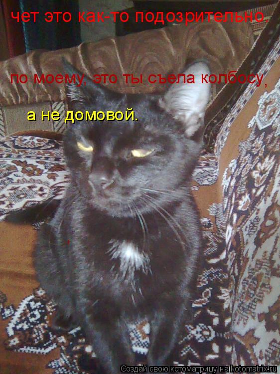 Котоматрица: чет это как-то подозрительно. по моему, это ты съела колбосу а не домовой. , ,
