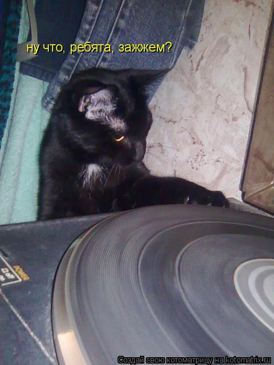ну что, ребята, зажжем?... Котоматрица: ну что, ребята, зажжем?
