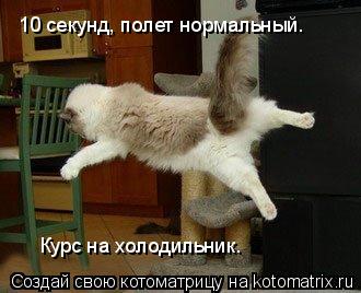 10 секунд, полет нормальный. Курс на холодильник.... Котоматрица: 10 секунд, полет нормальный. Курс на холодильник.