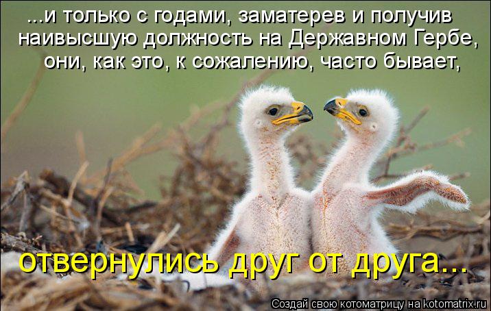 наивысшую должность на Державном Гербе, ...и только с годами, заматерев и получив они, как это, к со... Котоматрица: наивысшую должность на Державном Гербе, ...и только с годами, заматерев и получив они, как это, к сожалению, часто бывает, отвернулись друг от