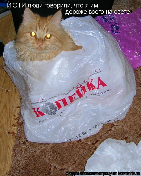 И ЭТИ люди говорили, что я им дороже всего на свете!... Котоматрица: И ЭТИ люди говорили, что я им дороже всего на свете!