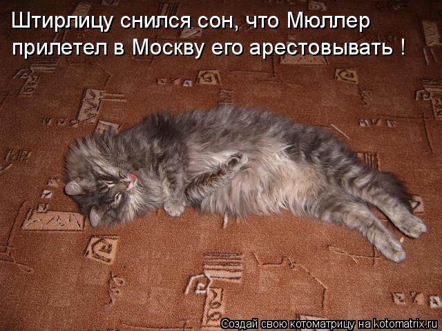 Штирлицу снился сон, что Мюллер прилетел в Москву его арестовывать !... Котоматрица: Штирлицу снился сон, что Мюллер прилетел в Москву его арестовывать !