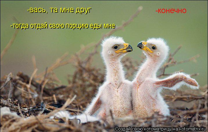 -вась, та мне друг -конечно -тогда отдай свою порцию еды мне... Котоматрица: -вась, та мне друг -конечно -тогда отдай свою порцию еды мне