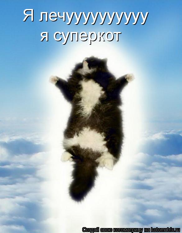 Я лечуууууууууу я суперкот... Котоматрица: Я лечуууууууууу я суперкот