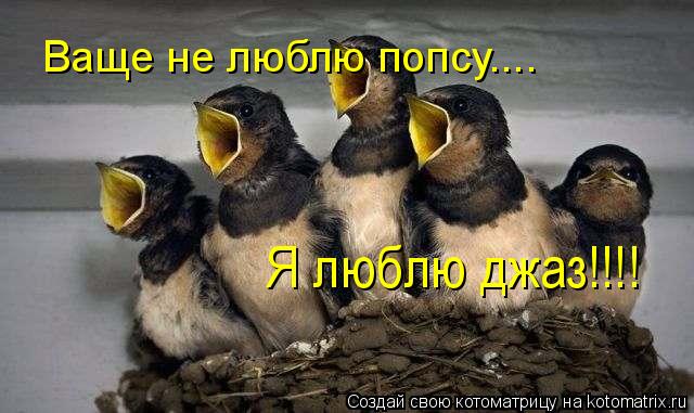 Ваще не люблю попсу.... Я люблю джаз!!!!... Котоматрица: Ваще не люблю попсу.... Я люблю джаз!!!!