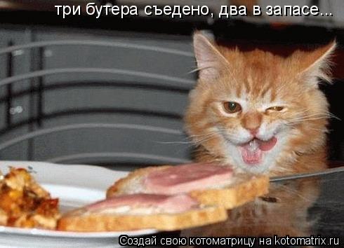 три бутера съедено, два в запасе...... Котоматрица: три бутера съедено, два в запасе...