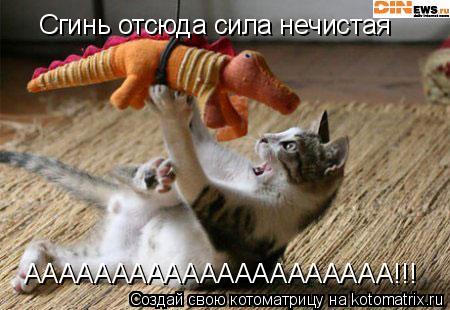 Сгинь отсюда сила нечистая ААААААААААААААААААААА!!!... Котоматрица: Сгинь отсюда сила нечистая ААААААААААААААААААААА!!!