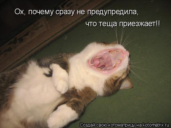 Ох, Ох, Ох, Ох, почему сразу не предупредила, что теща приезжает!!... Котоматрица: Ох, Ох, Ох, Ох, почему сразу не предупредила, что теща приезжает!!